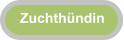 Zuchthndin