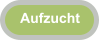 Aufzucht